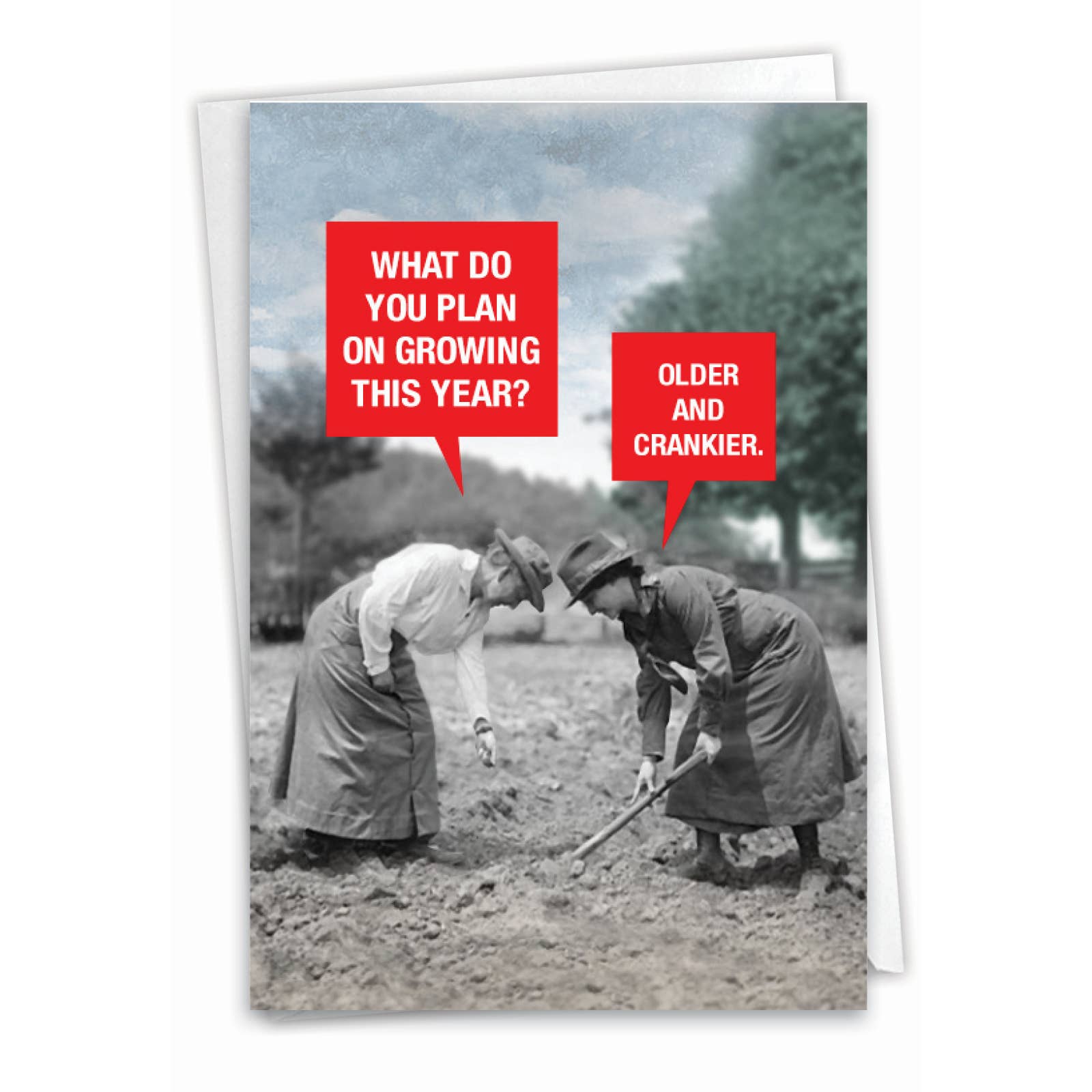 A vintage-style birthday card with the funny phrase, "growing older and crankier."