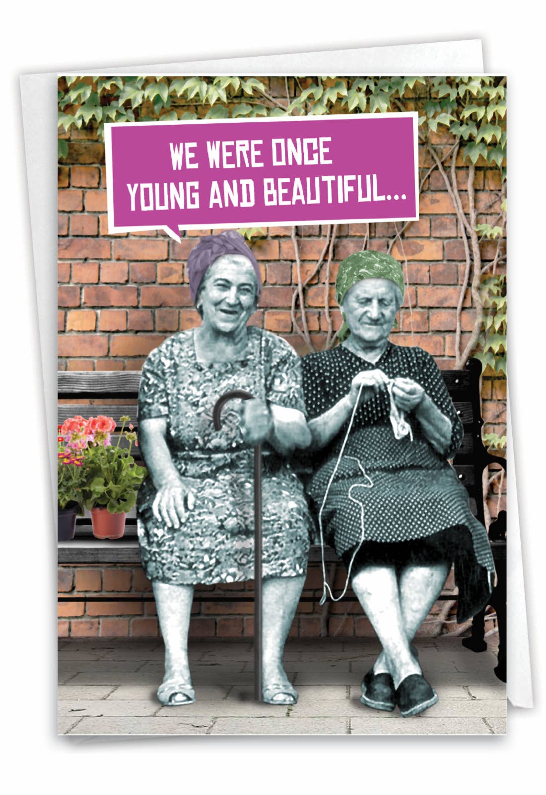 A birthday card with the funny and sweet phrase, "We were once young and beautiful..."