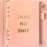 Front page of pink magnetic closure journal folio and calendar with gold graphics.
