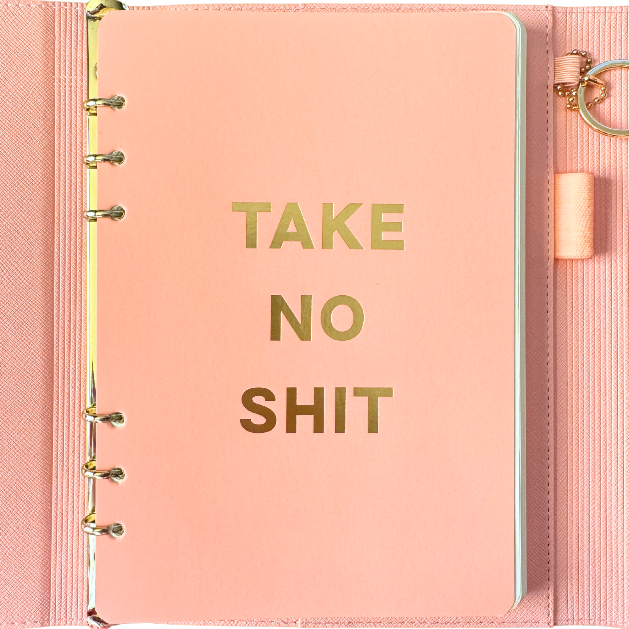 Front page of pink magnetic closure journal folio and calendar with gold graphics.