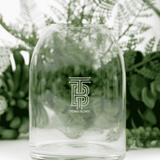 Thomas Blonde - clear glass vase with a sophisticated, intricate etched pattern on its surface.