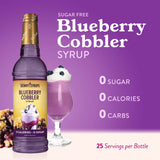 Skinny Mixes SF Blueberry Cobbler Syrup