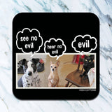 See No Evil, Hear No Evil Coaster