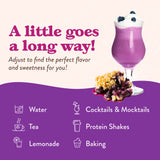 Skinny Mixes SF Blueberry Cobbler Syrup