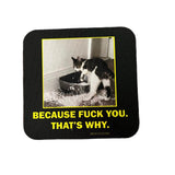 Cat That's Why Coaster