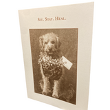 Sit. Stay. Heal. Greeting Card (Get Well)