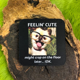 Feelin Cute Crap On Floor Coaster