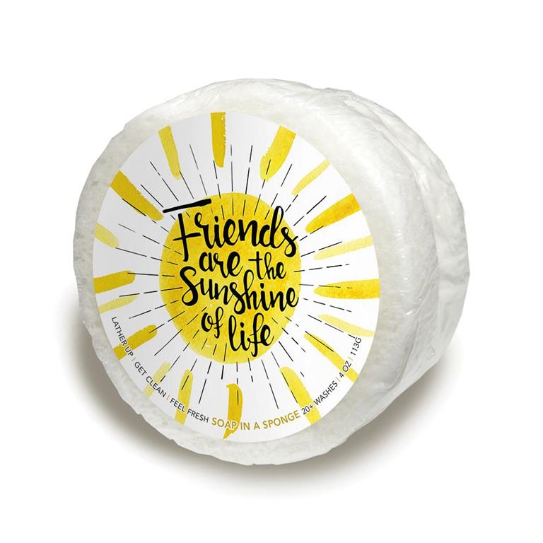 A colorful, soap-infused sponge with "Friends Are The Sunshine Of Life"