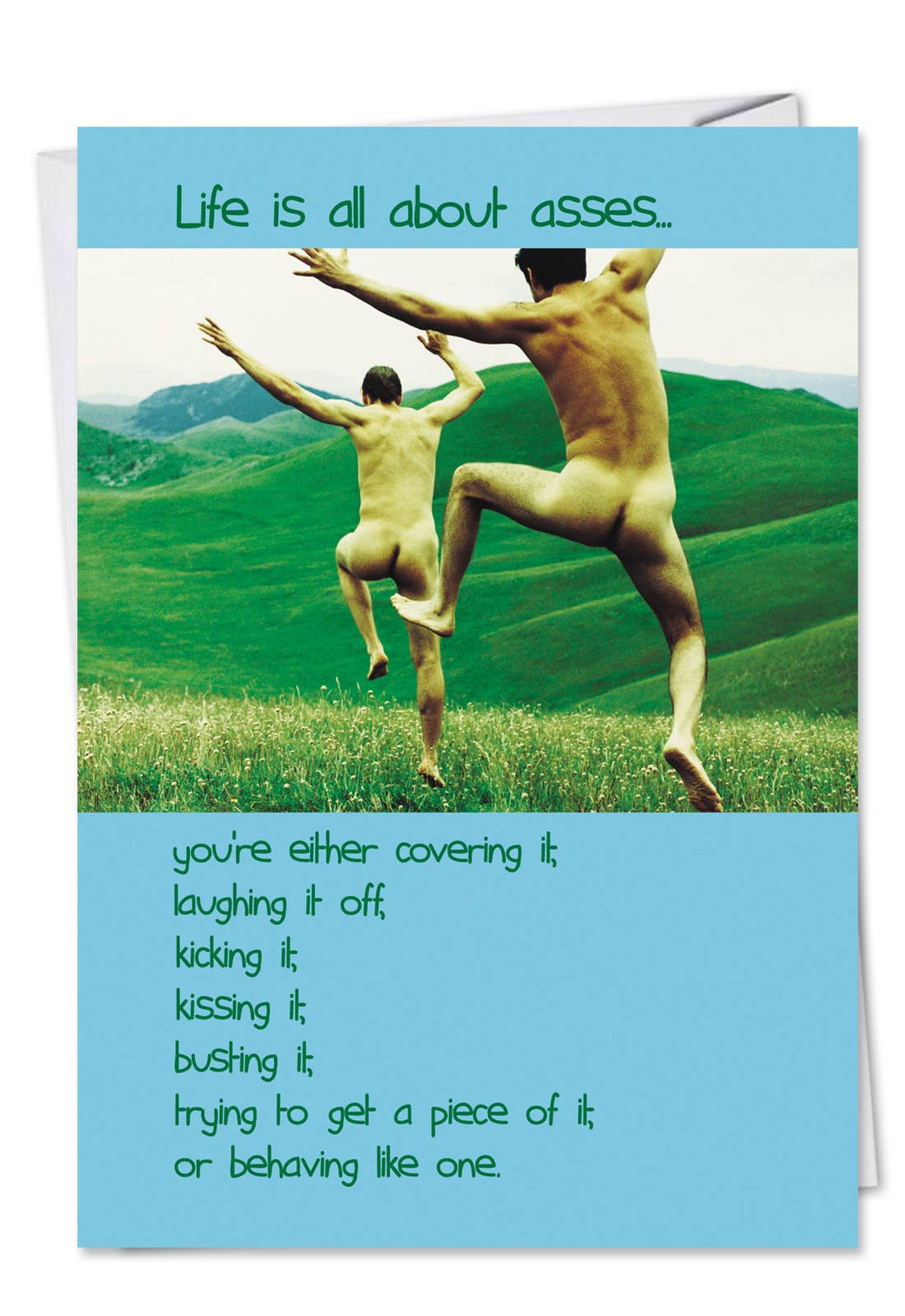 A funny birthday card with a text-based design about the many roles of asses in life.