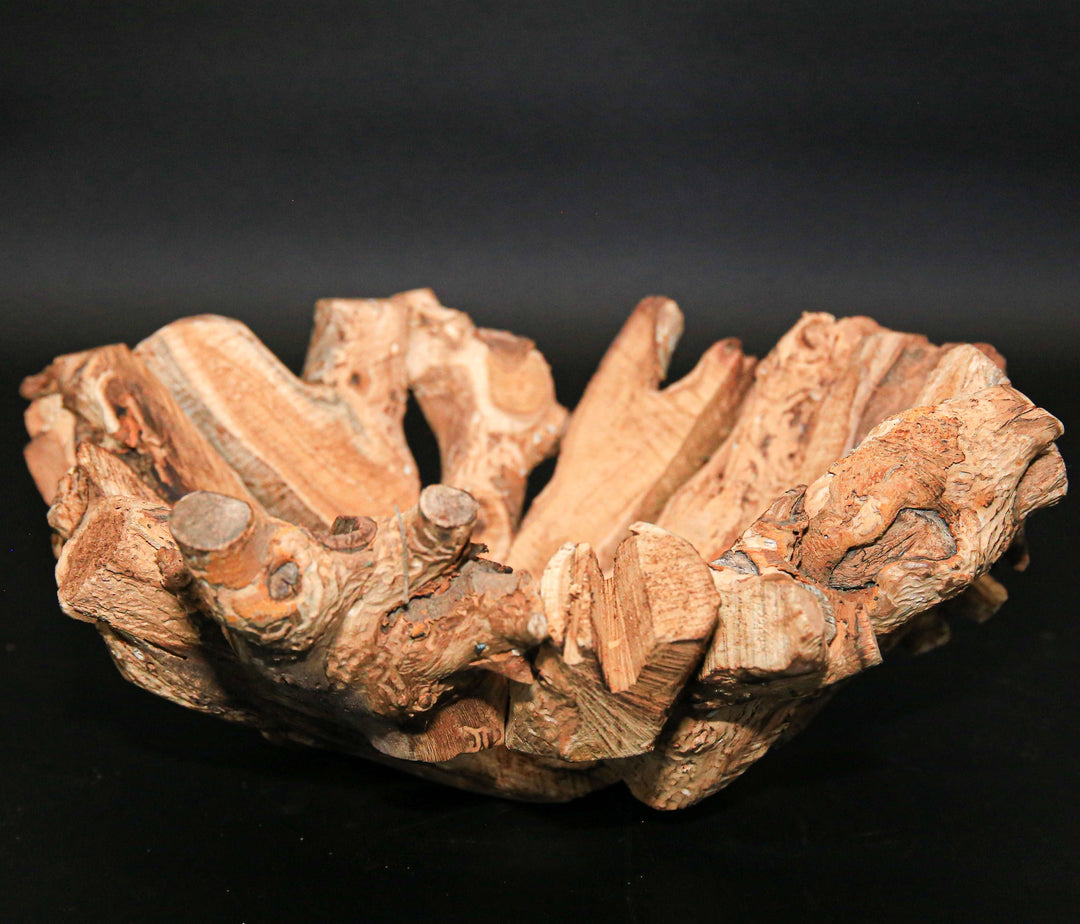Small Branchy Wood Bowl