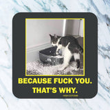 Funny cat coaster with litter box graphic and sarcastic quote