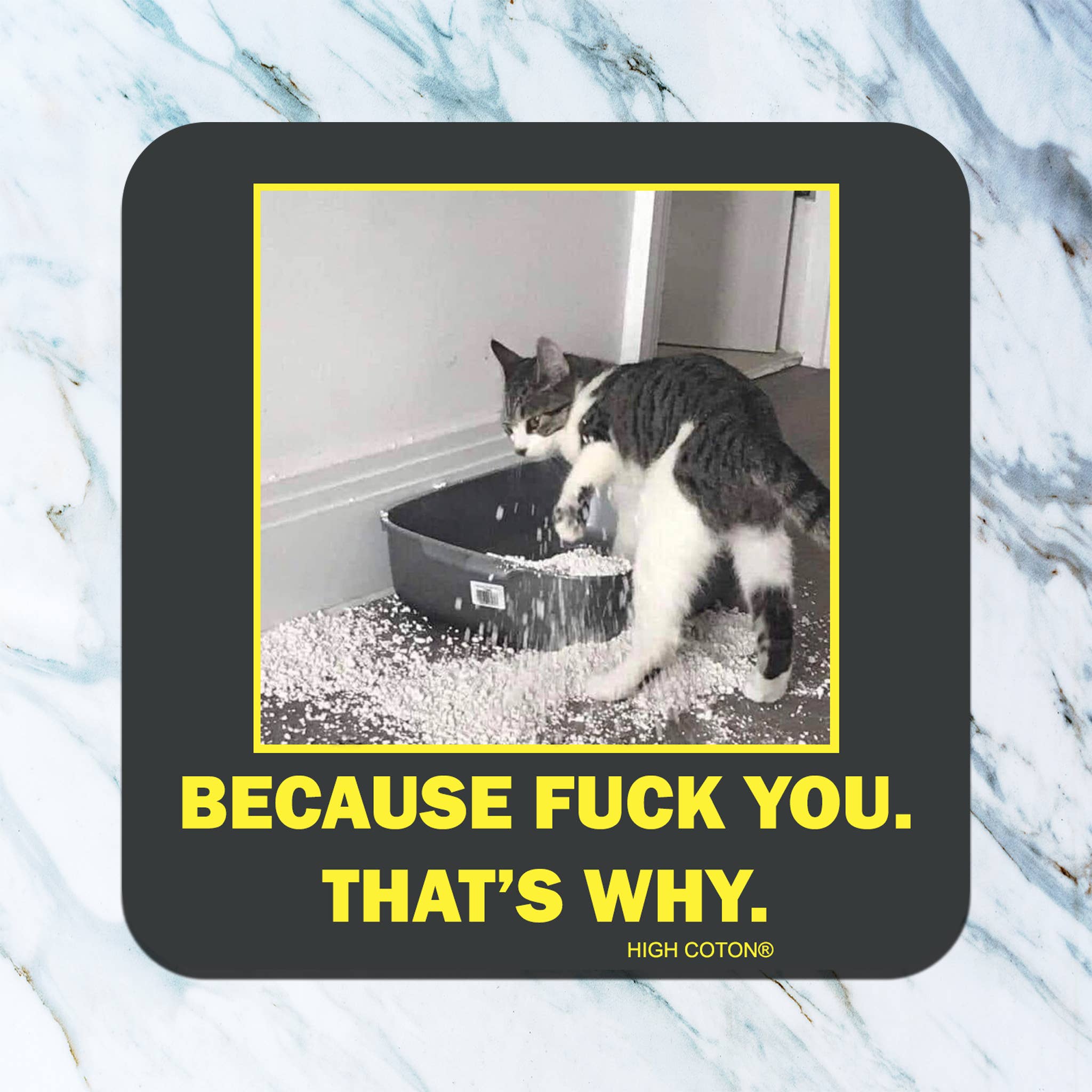 Funny cat coaster with litter box graphic and sarcastic quote