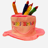 Plush birthday cake party hat with colorful Happy Birthday embroidery and candle toppers.