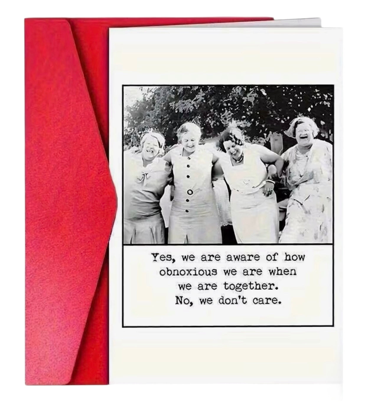 Funny vintage ladies greeting card with obnoxious together friendship quote.