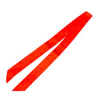 Red scarf tie, doubles as a purse twilly or handbag accessory.