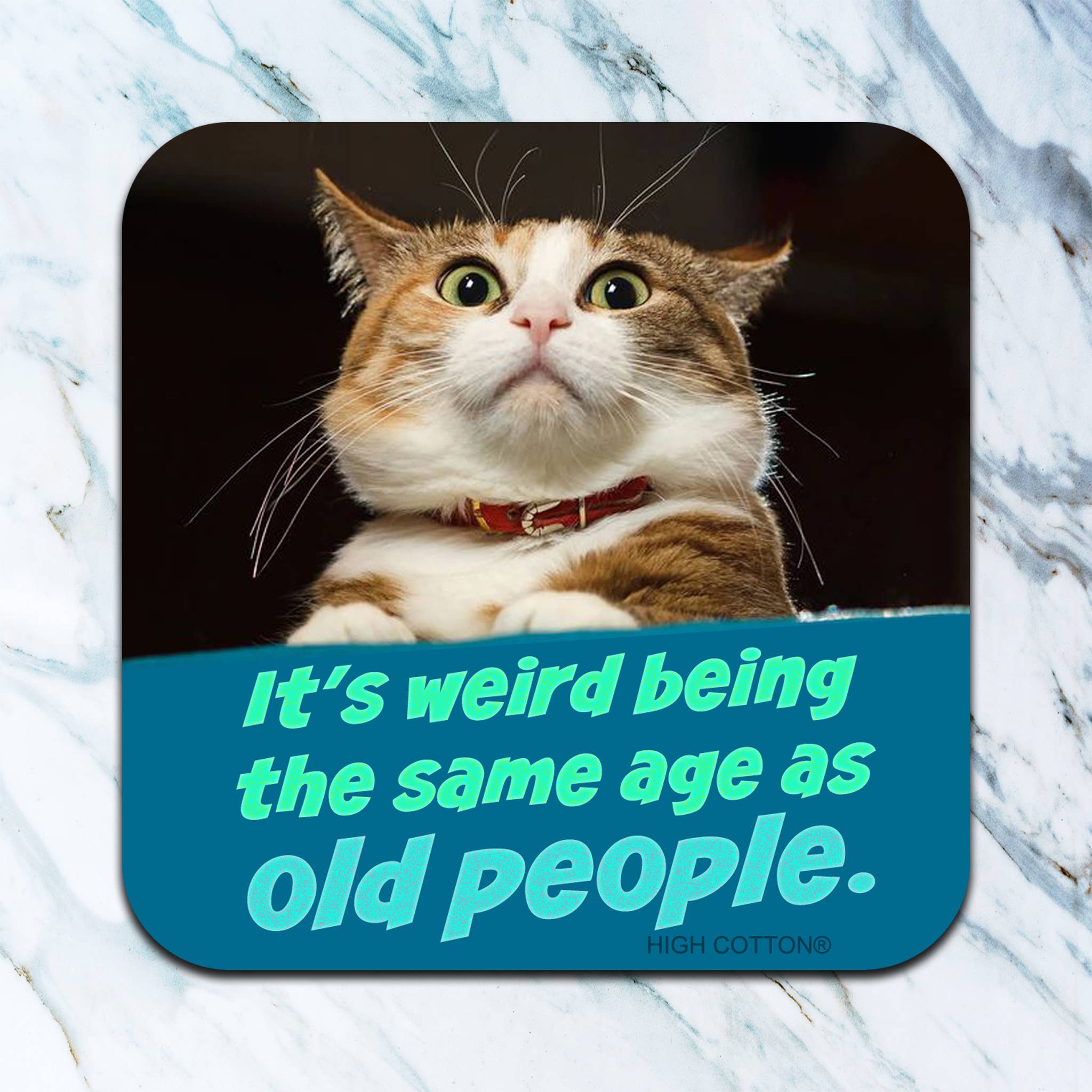 Funny cat coaster with it's weird being the same age as old people quote
