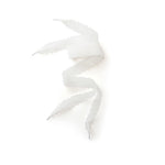 White Chantilly lace shoelaces for sneakers.