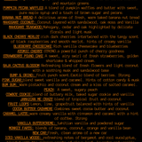 This Shit Is Bananas Car Freshie