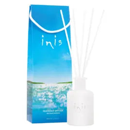 The Inis Fragrance Diffuser, showing the 3.3 oz frosted glass vessel with fiber reeds placed inside.