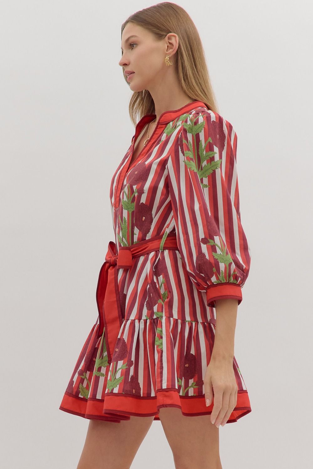 Garnet Floral Stripe Dress