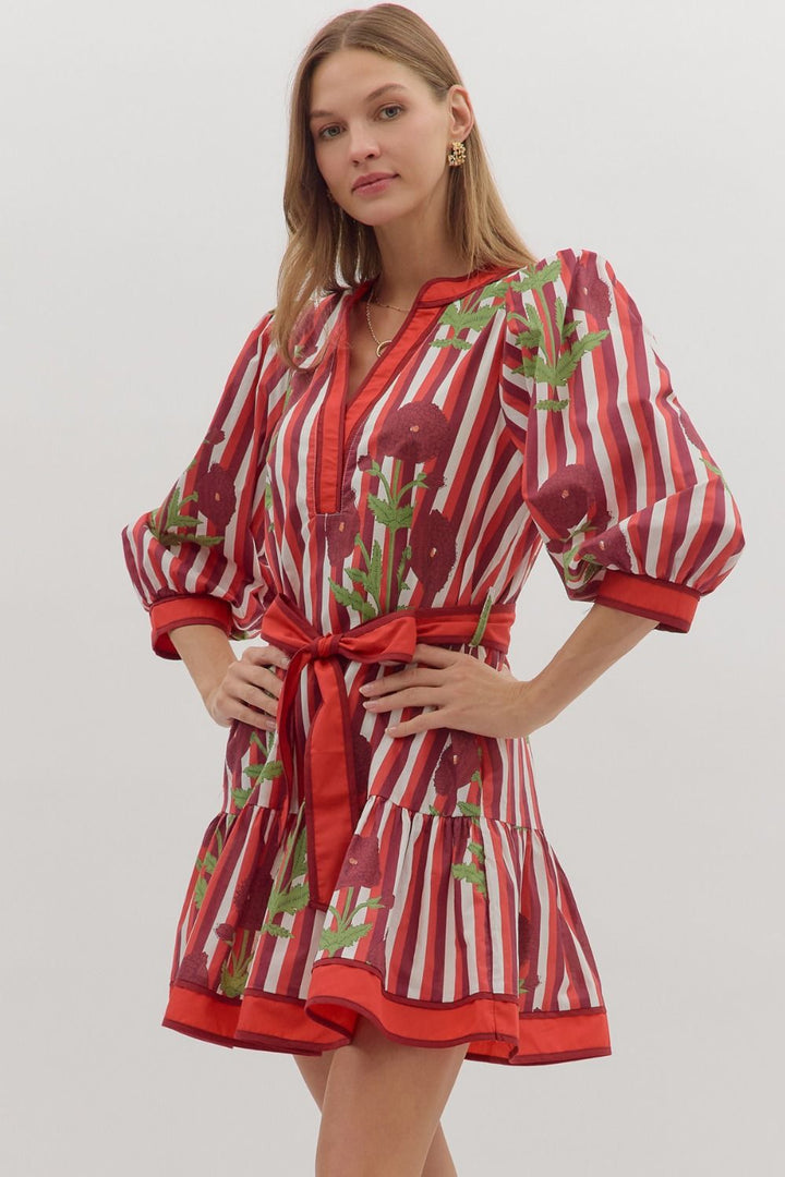Garnet Floral Stripe Dress